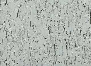 Фото - Обои Black Edition Kansai Wallcoverings - 321020>