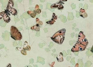 Фото - Обои Coordonne Naturae - 559395>