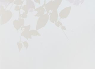 Фото - Обои Fiona Wall Design Nordic Blossom - 257410>