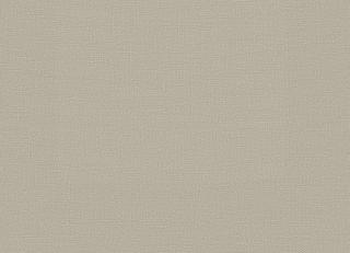 Фото - Ткани Faboie Plain VII - 575499>