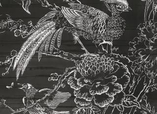 Фото - Обои Dedar Silkbird - 357449>