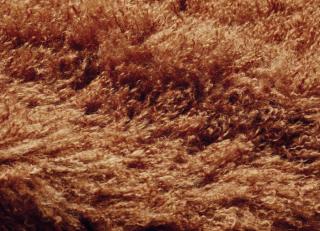 Фото - Ткани Misia Azur cotonneux - 507526>