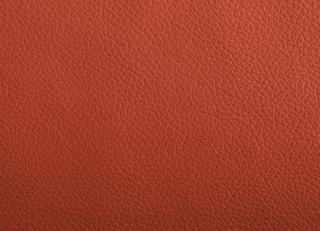 Фото - Ткани Alessandro Bini Jazz - 611257>