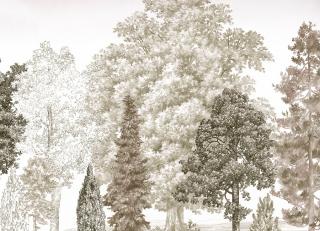 Фото - Обои Loymina Пейзаж 2 - 609822>