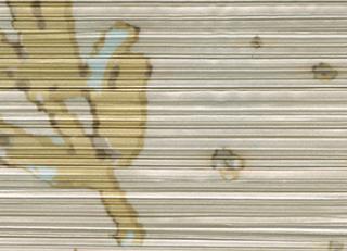 Фото - Обои Elitis Opulence - 262118>