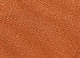 Фото - Ткани Foresti Home Collection Taffetas Boston - 569746>