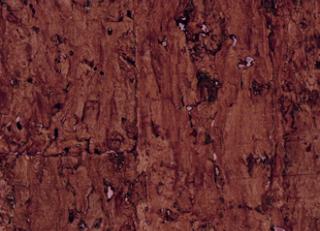 Фото - Обои Elitis Essence de liege - 509456>