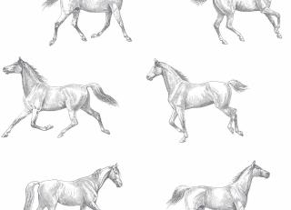 Фото - Обои Esta Home College - 559458>