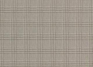 Фото - Ткани Coordonne Kingsman - 473989>