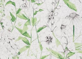 Фото - Обои Designers Guild Flowers volume 1 - 441857>