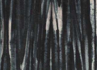 Фото - Ткани Black Edition Zafaro - 509904>