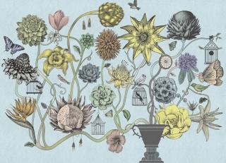 Фото - Обои Ortograf Grafika Natura - 477024>