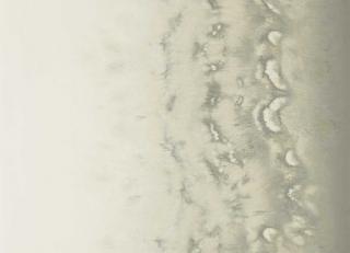 Фото - Обои Clarke&Clarke Fusion Wallpaper - 554225>