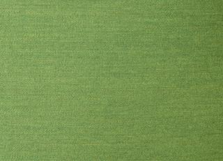 Фото - Ткани Dedar Buonfresco - 467827>