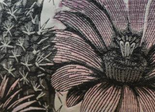 Фото - Ткани Henry Bertrand Tamise Saguaro - 444388>