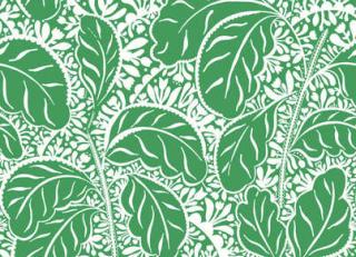 Фото - Обои Pierre Frey Jungle - 312151>