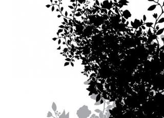 Фото - Обои Mr Perswall Urban Nature - 235246>