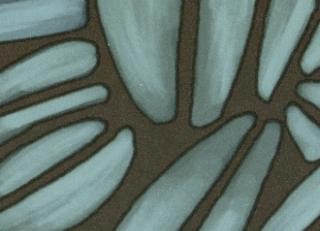 Фото - Обои Elitis Flower power - 469360>