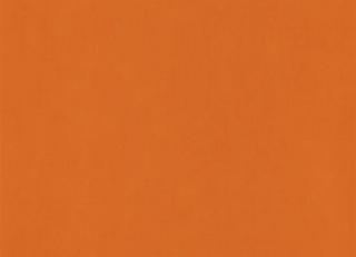 Фото - Обои Caselio Pretty Lili - 375917>