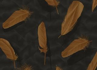 Фото - Обои Shinhan Focus - 554875>