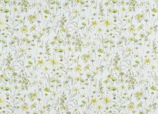 Фото - Ткани Prestigious Textiles Bloom - 441194>