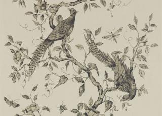 Фото - Обои Zoffany Darnley Wallpapers - 390218>