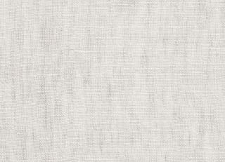 Фото - Ткани Dedar Wide Linen Leggerissimo - 563056>