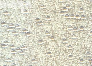 Фото - Обои Maya Romanoff Beadazzled - 393323>