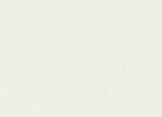 Фото - Обои Casadeco Woods - 535667>