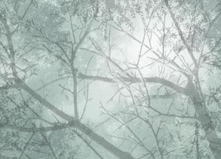 Фото - Обои Mr Perswall Shades - 234548>