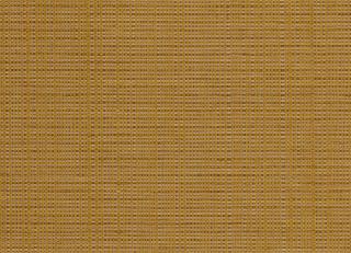 Фото - Обои Casamance Amboise - 556291>