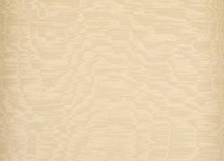 Фото - Ткани Dedar Iris - 510173>