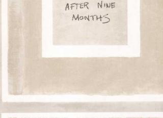 Фото - Обои Andrew Martin - 243707>