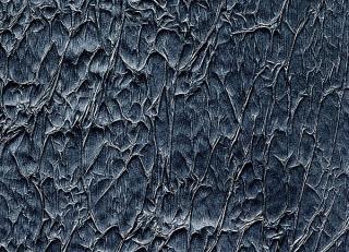 Фото - Обои Arlin Velawall - 342127>