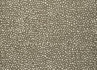 Фото - Ткани Thibaut Sierra - 529578>