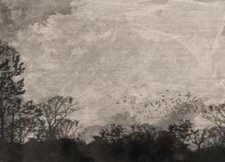 Фото - Обои Mr Perswall Shades - 234565>