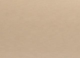 Фото - Ткани Clarke&Clarke Java - 403718>