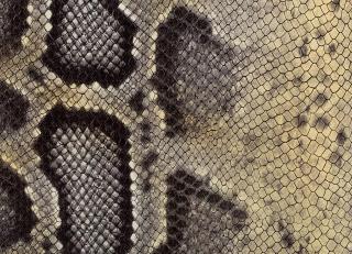 Фото - Аксессуары Pavoni Кожа Liveri - 588836>