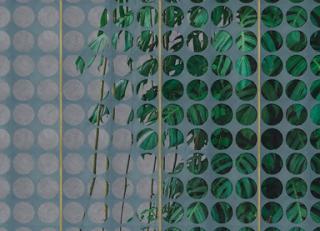 Фото - Обои Wall&Deco CODE 2020 CONTEMPORARY - 495192>