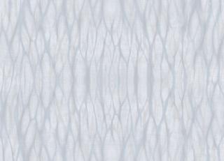 Фото - Обои Ich Dans Lemur Aura - 440810>