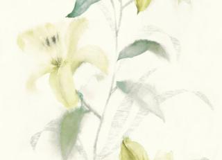 Фото - Обои KT Exclusive Jasmine - 315388>