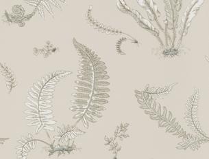 Фото - Обои G.P. and J.Baker Signature Wallpaper - 378621>