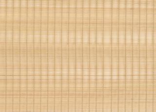 Фото - Ткани CMO Paris Palm Tree 2 - 551141>