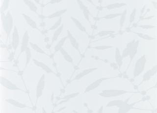 Фото - Обои Harlequin Anthozoa - 342823>