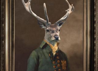 Фото - Аксессуары для интерьера Mineheart - 356182>