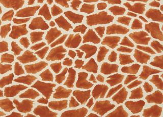 Фото - Обои Thibaut Colony - 473284>