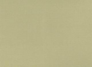 Фото - Ткани Nina Campbell Sylvana Satin - 289244>