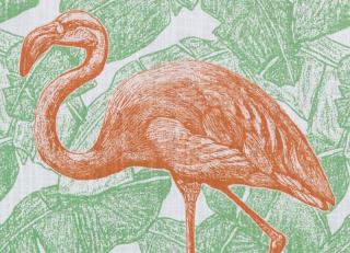 Фото - Ткани Duralee Thomas Paul Prints Exclusively for Duralee Vol.III - 351850>