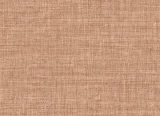 Фото - Обои Carl Robinson Edition 18 - 600435>