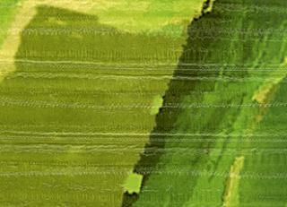 Фото - Обои Elitis Anguille Big croco Legend - 469483>